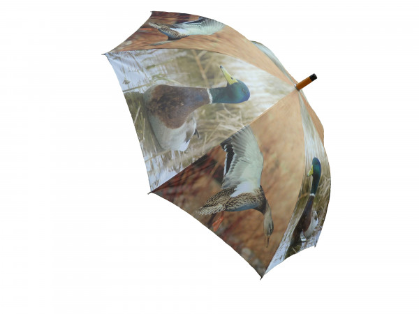 Regenschirm Stockente
